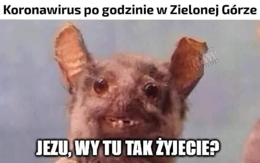 W internecie sporo memów jest o Zielonej Górze! Ba, one...