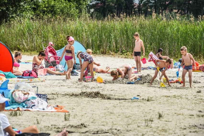 Plaża w Borównie