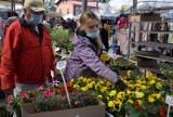 Oświęcim. Wiosną miejskie targowisko oblężone z powodu kwiatów i krzewów. Ogrodnicy kupią tu wszystko do ogrodu i na parapety [ZDJĘCIA]