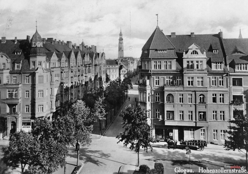 Głogowska aleja Wolności to niegdyś Hohenzollernstrasse. Zobacz ją dawniej i dziś