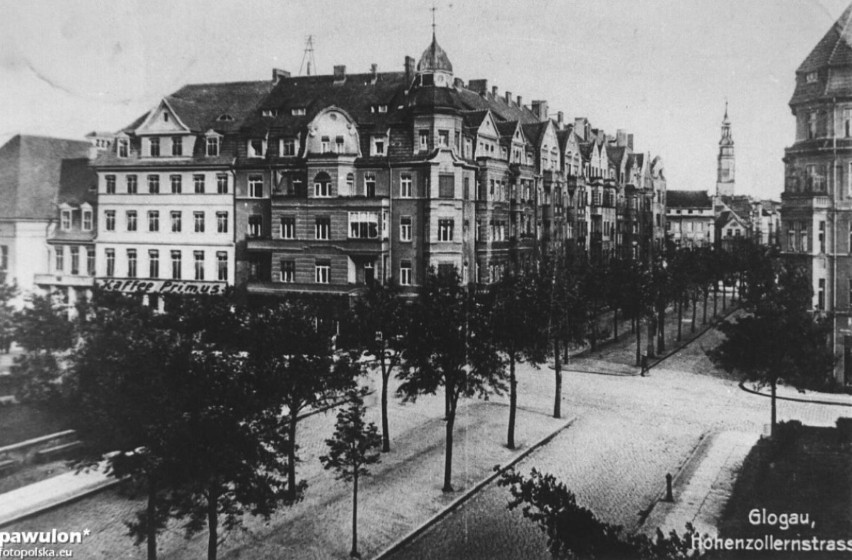 Głogowska aleja Wolności to niegdyś Hohenzollernstrasse. Zobacz ją dawniej i dziś