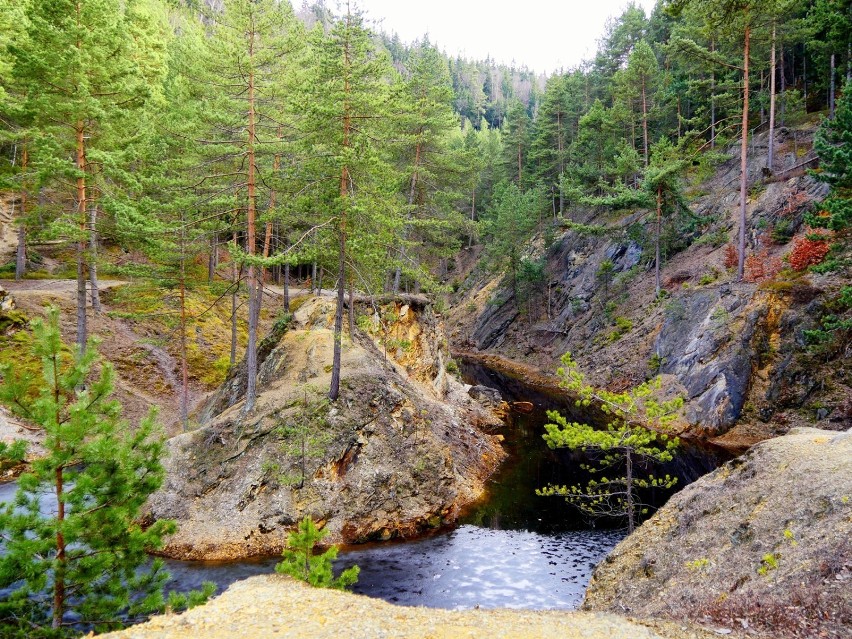 Kolorowe jeziorka niedaleko nas. Dojazd, zwiedzanie, szlak turystyczny [ZDJĘCIA]