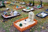 Cmentarz dla zwierząt w Toruniu. Zobaczcie poruszające zdjęcia! 