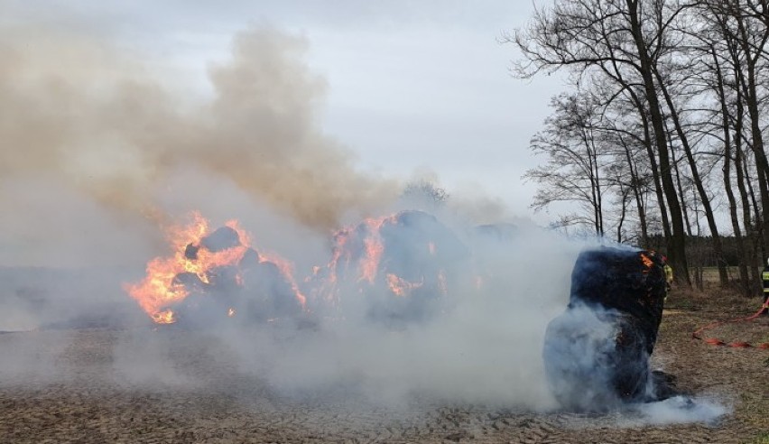 Młody mężczyzna z gminy Gołuchów podpalał słomę i obserwował jak strażacy ją gaszą! ZDJĘCIA