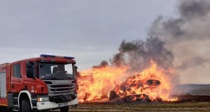 Młody mężczyzna z gminy Gołuchów podpalał słomę i obserwował jak strażacy ją gaszą! ZDJĘCIA