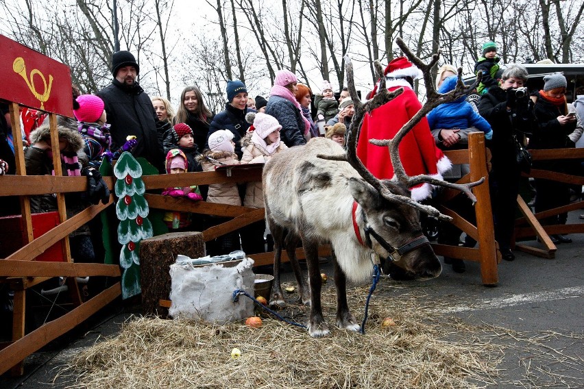 Jarmark Bożonarodzeniowy na Zamku



Zamek Książąt...