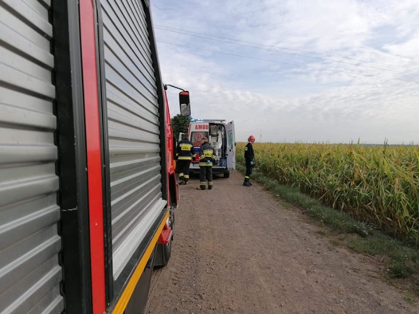 Z regionu: tragiczny wypadek. Drzewo przygniotło mężczyznę. Poszkodowany zmarł w szpitalu