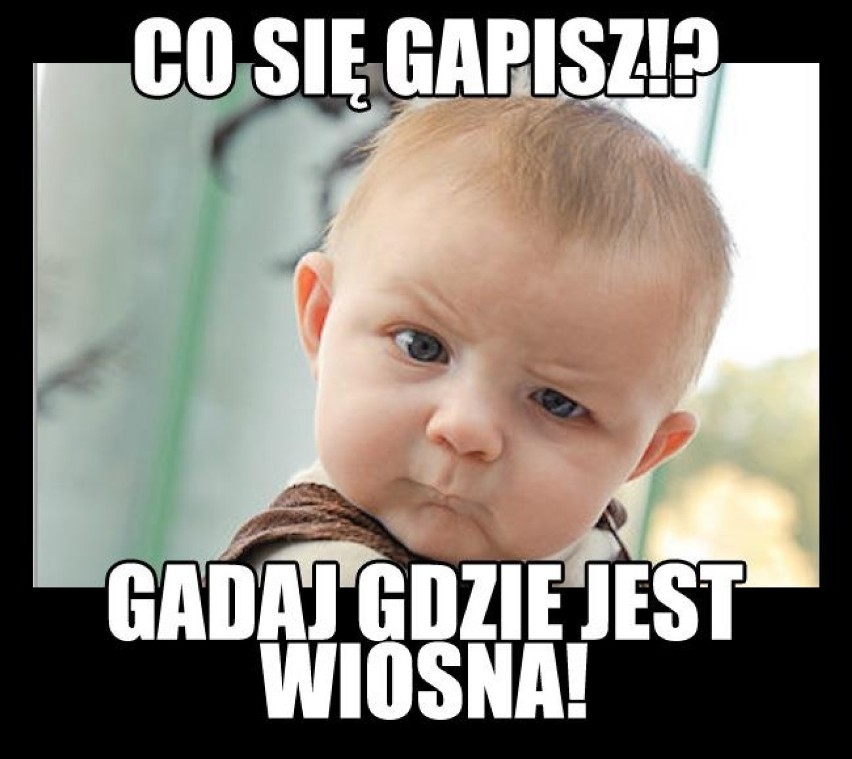 źródła zdjęć: Memy.pl, FabrykaMemow, Demotywatory.pl,...