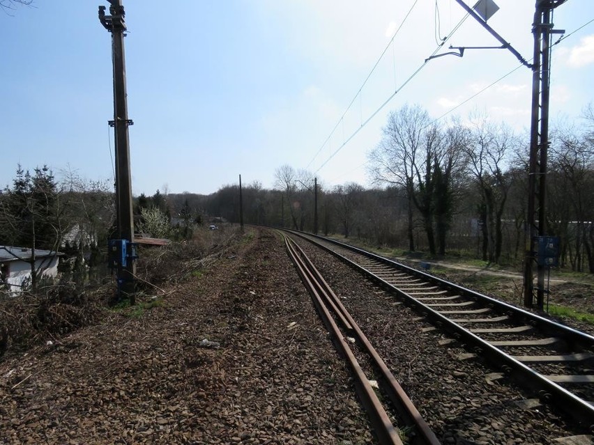 Projektanci złapali poślizg przy Szczecińskiej Kolei Metropolitalnej. Powód? Koronawirus 