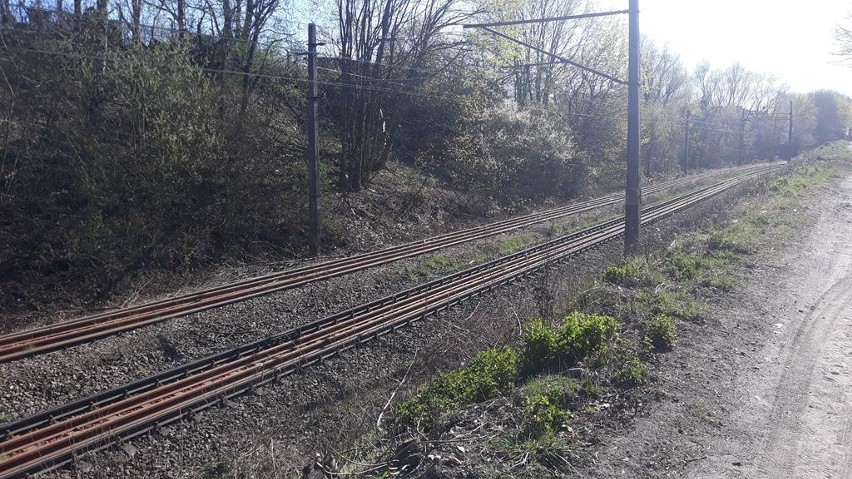 Projektanci złapali poślizg przy Szczecińskiej Kolei Metropolitalnej. Powód? Koronawirus 