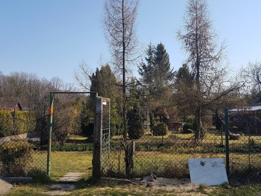 Działka obok ogrodu botanicznego
Powierzchnia: 522 m²
Cena...