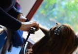 Szukasz najlepszego fryzjera w Bytomiu? Oto lista TOP 21 salonów, które zdobyły tytuł Orły Fryzjerstwa i są polecane przez bytomian