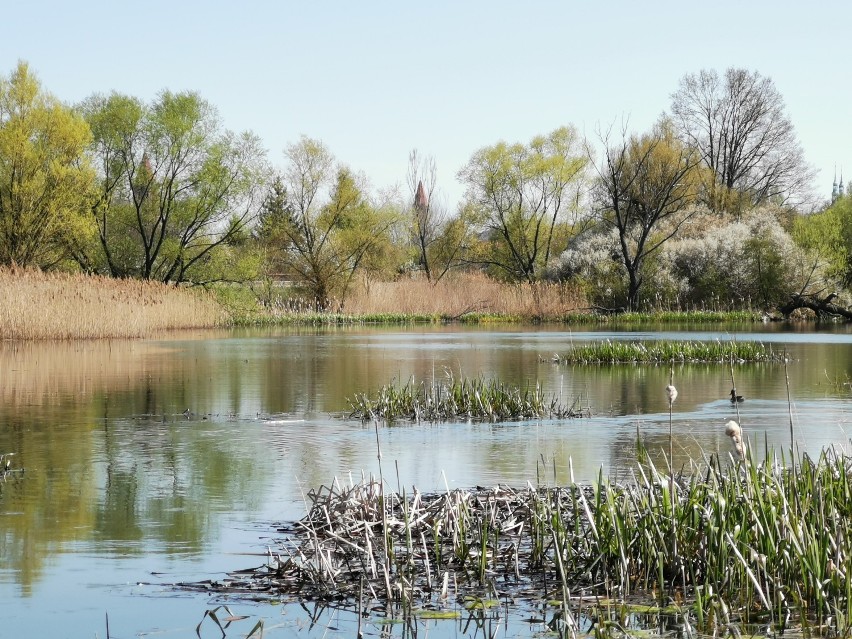 Mijając znane kąpielisko Kormoran, możemy udać się dalej...