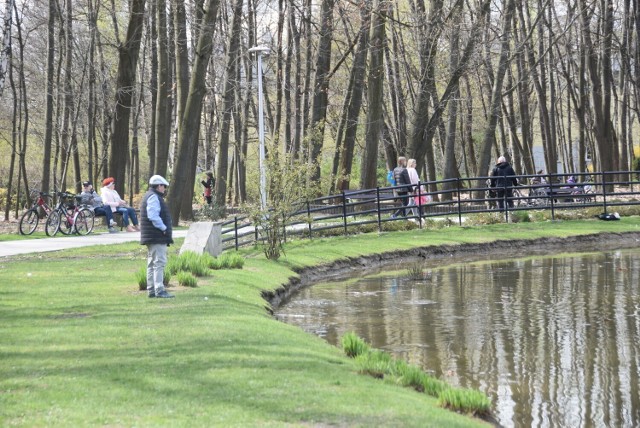 Budowa tężni w parku Piaskówka odwlecze się w czasie, bo wyłoniony w przetargu wykonawca się wycofał