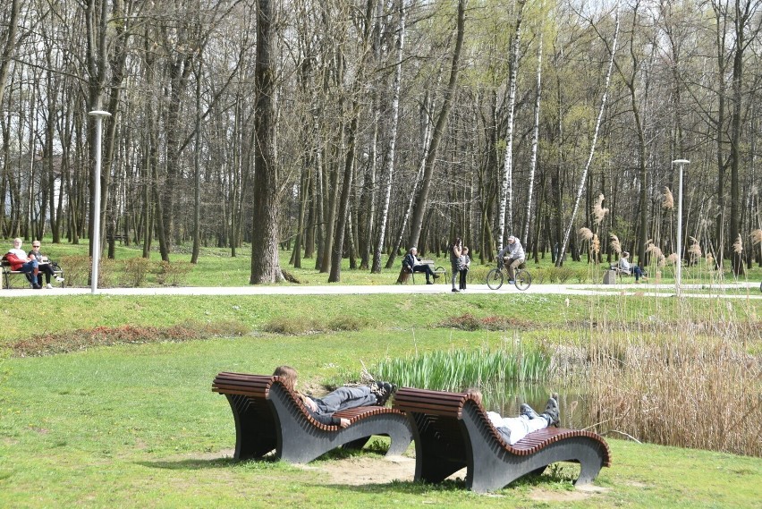 Budowa tężni w parku Piaskówka odwlecze się w czasie, bo...