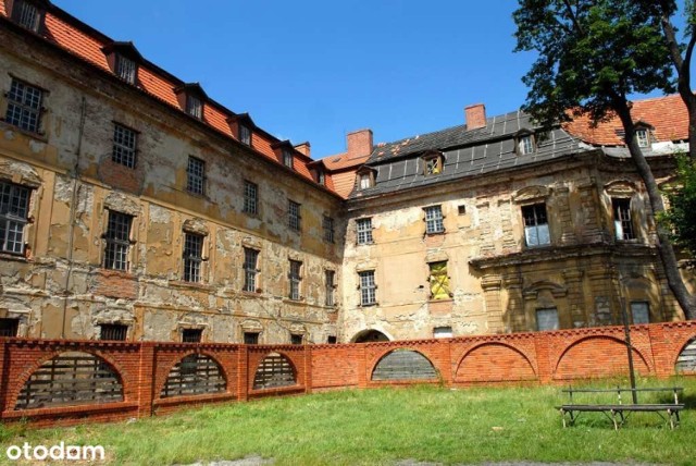 Pałac letni przy ulicy Domańskiego w Żarach jest na sprzedaż za pół miliona złotych