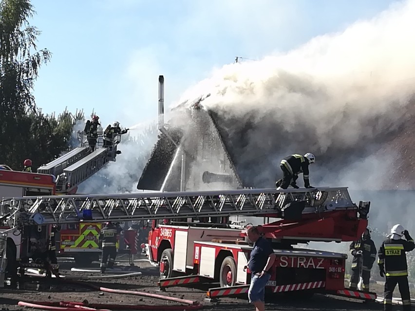 Pożar w Karczmie Siwy Dym w Łysomicach pod Toruniem [zdjęcia, wideo]