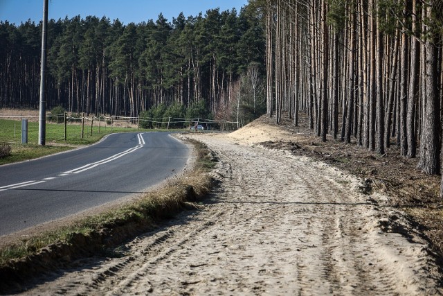 Rowerowa trasa z Włoszakowic nad Jezioro Dominickie