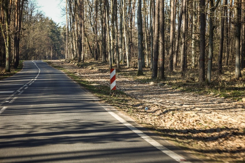 Budowa ścieżki Dominice  - Włoszakowice ma potrwać do czerwca 2023