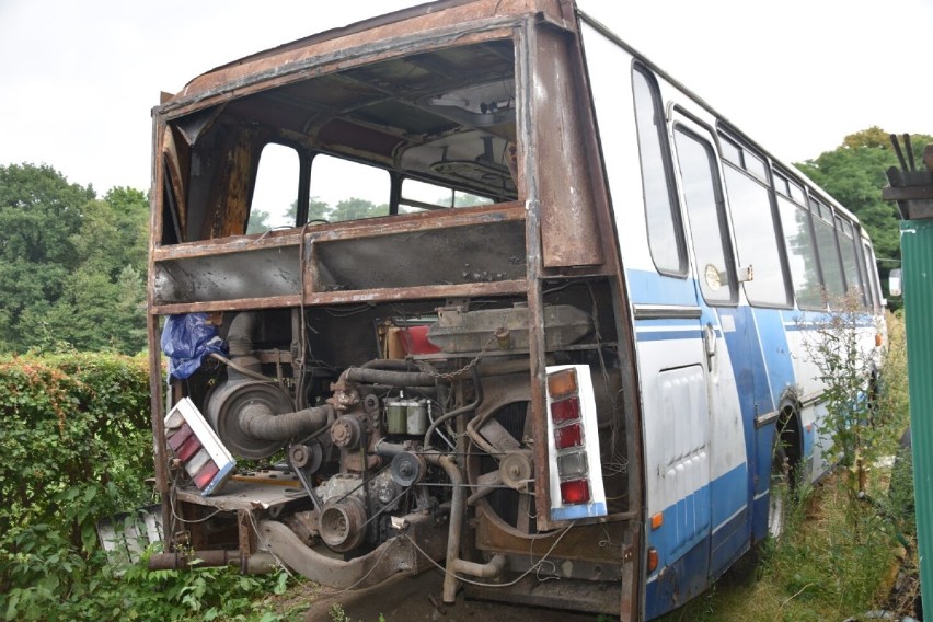 Miłośnicy motoryzacji znów będą pomagać! Piknik charytatywny ze starymi autami w roli głównej 