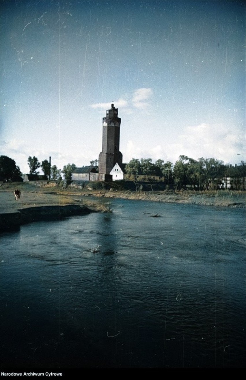 Wieża Zamkowa i rzeka Drwęca