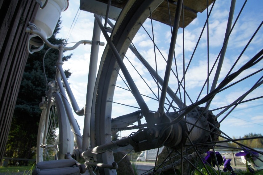 W Nowej Soli działa wypożyczalnia rowerów