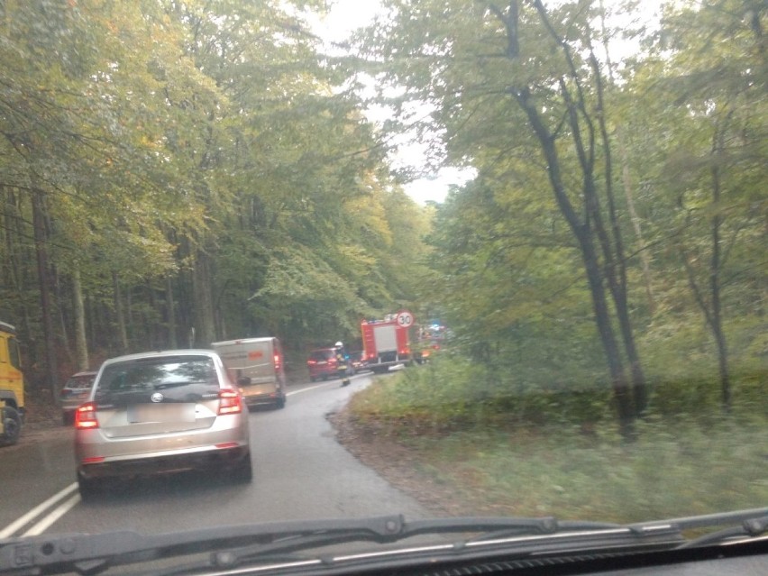 Wypadek na drodze Rumia-Łężyce. Pasażerka trafiła do szpitala [ZDJĘCIA CZYTELNIKA]