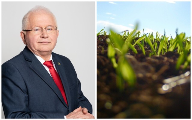 Prof. dr hab. Marek Mrówczyński, dyrektor Instytutu Ochrony Roślin-Państwowego Instytutu Badawczego w Poznaniu