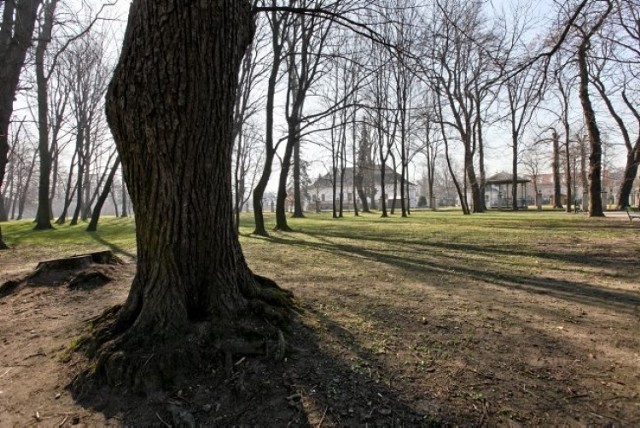 Park pełni funkcję rekreacyjną dla okolicznych mieszkańców, a także dla uczestników programów artystycznych organizowanych przez Centrum Kultury "Dworek Białoprądnicki". Na terenie parku znajduje się plac zabaw dla dzieci. (źródło: Wikipedia)