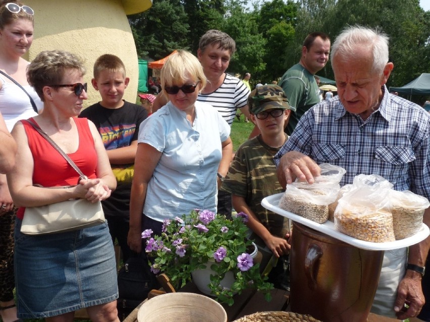 ZOO Płock zaprasza na imprezę w sielankowym klimacie