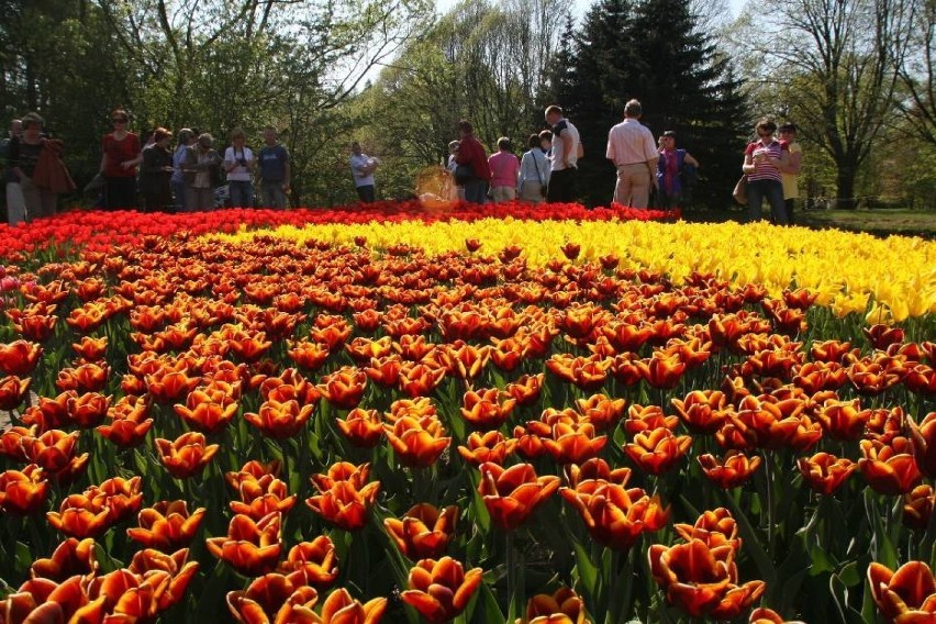 Ogród Botaniczny w Powsinie powinien zobaczyć każdy! Idealne...