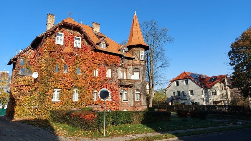 Latem dom jest zielony, jesienią mieni się wszystkimi...