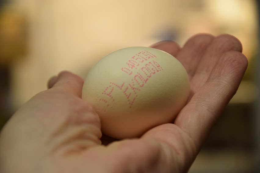 Najbardziej ekologiczne jajka mają oznaczenie "0".