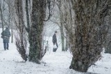 Uwaga! Jutro spadnie śnieg w regionie. Możliwe są też zawieje [prognoza pogody]