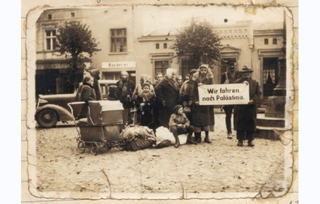 Wrzesień 1939 r. Fotografia wykonana pod potrzeby propagandowe niemieckiej kroniki. Jest to ostatnie znane zdjęcie, przedstawiające sępoleńskich Żydów. Zebrani zamiast do Palestyny, jak głosi napis na trzymanej przez nich tablicy, wywiezieni zostali do Radzimia, gdzie zostali zamordowani i pochowani w przypałacowym parku. Tę fotografię o wyraźnie propagandowym charakterze zrobiono na sępoleńskim rynku we wrześniu 1939 roku (widoczne na drugim planie charakterystyczne, niskie kamienice pozwalają precyzyjnie określić miejsce). Jesienią 1939 roku na zawsze zlikwidowano mniejszość żydowską w mieście, stale obecną tutaj co najmniej od XVI wieku. Mimo że najstarsze ślady osadnictwa żydowskiego pochodzą z 1568 roku, dynamiczny rozwój tej wspólnoty i napływ ludności nastąpiły dopiero po 1644 roku. Wtedy to dzięki przyjaznej polityce Potulickich, właścicieli miasta liczących na zwiększone zyski z handlu, Żydzi w Sępólnie cieszyć się mogli względną swobodą zamieszkiwania i zarobkowania. Zadowolone z tego były obydwie strony, skoro Potuliccy pod koniec XVIII wieku zapobiegli przymusowemu wysiedleniu z miasta kilkunastu biednych żydowskich rodzin, a liczba Żydów w mieście zaczęła gwałtownie rosnąć- w 1674 roku było to 45 osób, w 1774 roku- 673 osoby, w 1816 roku- 1247 osób (51,5 % mieszkańców miasta), a w 1853 roku- aż 2218 osób. Poczynając od końca XIX wieku liczba ta zaczęła maleć. Znaczny odpływ ludności żydowskiej do Niemiec po 1920 roku, w znikomym stopniu równoważony był napływem osób z głębi Polski. W 1936 roku na 74 sępoleńskich Żydów zaledwie 14 przybyło tutaj po zakończeniu I wojny światowej. W 1939 roku w mieście żyło tylko 90 Żydów, stanowiących już blade wspomnienie potężnej, XIX- wiecznej wspólnoty, dzięki której Sępólno nazywane było żydowską metropolią w Prusach Zachodnich. Odsetek ludności żydowskiej w mieście przekraczał wtedy 50%, a niektórzy z sępoleńskich Żydów robili błyskotliwe kariery. Dla przykładu- Julius Berger (1862- 1943) założył potężną firmę budowlaną, realizującą kontrakty na całym świecie (po przekształceniach firma ta nazywa się obecnie Bilfinger Berger), a filolog Leopold Cohn (1856- 1915) poświęcił się nauce na Uniwersytecie Wrocławskim, czego ukoronowaniem był tytuł profesora, nadany mu w 1889 roku.