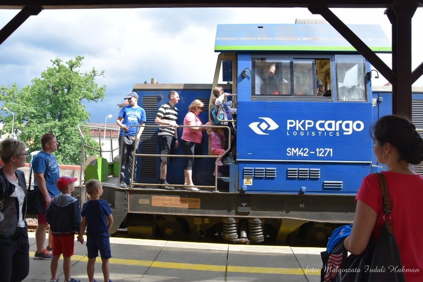 Loko Piknik w Żarach