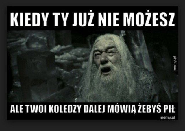 W nocy z 21 na 22 października w Polsce odbędzie się premiera ósmej części przygód Harry'ego Pottera. Z pewnością internauci odpowiedzą na to w swoim stylu - zanim jednak pojawią się nowe memy, przypominamy te, które mają już po kilka lat. Na pewno kojarzycie choć jeden z nich!