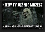 "Harry Potter i Przeklęte Dziecko". Nocna premiera w Polsce . Najlepsze memy [ZDJĘCIA]