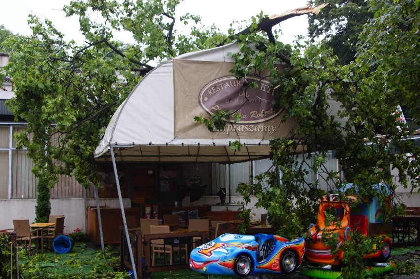 Burza w Kaliszu. Wiatr łamał drzewa i uszkadzał dachy