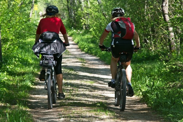 Do Otwocka dojeżdżamy wedle własnego uznania. Na rower wsiadamy na rynku i ruszamy ulicą Andriollego. Przejeżdżamy około 2,5 km, potem przez skrzyżowanie z ul. Narutowicza do ul. Hrabiego za Medyczną Szkołą Zawodową. 

Nasza droga zamienia się w leśny dukt. Jedziemy 500 metrów i po prawej stronie zobaczymy pozostałości starego, żydowskiego cmentarza. Dalej jedziemy prosto do Karczewa, wjeżdżamy do tego miasta ul. Armii Krajowej.

Przy kościele wybieramy skręt w lewo w ul. Żaboklickiego i dalej przez Janów i Brzezinkę do Łukowca. W Łukowcu szukamy niebieskiego szlaku rowerowego, który biegnie wśród pól, skrajem lasu. Trasa odbija w lewą stronę od głównej drogi. 

Kiedy znajdziemy się już w lesie, jedziemy przez niego ok. 3-4 km. Dojeżdżamy do szerokiej drogi tzw. Drogi Królewskiej i skręcamy w nią w lewo. Jedziemy kilometr i mijamy płytę, czyli Kamień Leśników, wybieramy skręt w prawo w drogę wyłożoną kawałkami czerwonej cegły. Kiedy znów pokonamy kilometr, skręcamy w prawo i docieramy do bunkrów, które warto zwiedzić. Kiedy już skończymy, wracamy do rozwidlenia i dalej jedziemy czarnym szlakiem w lewo. Wracamy nim z powrotem na Drogę Królewską. 

Drogą Królewską dotrzemy do Parku - Baza Torfy i rezerwatu Torfy. Jeśli chcemy zwiedzić rezerwat, musimy liczyć się z dodatkową pętlą o długości 1,5 km. Wracamy na czarny szlak, który doprowadzi nas do mijanego na początku cmentarza. Wracamy do centrum Otwocka ul. Hrabiego i Andriollego. 

Trasa ma ok. 30 km.

Czytaj też: Trasy rowerowe Warszawa. Na dwóch kółkach po stolicy [PRZEGLĄD]