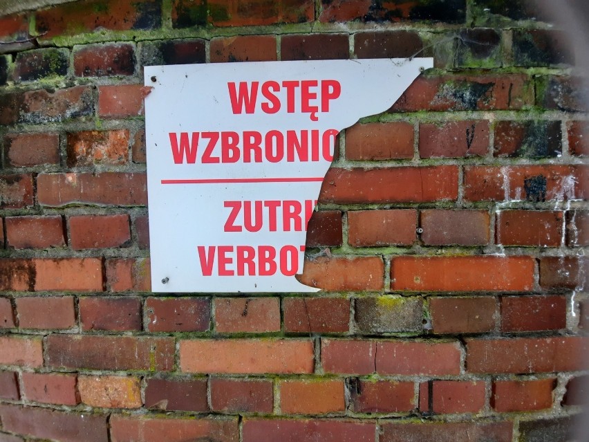 Zima bunkrowy las wygląda tajemniczo. Na dodatek wszędzie...