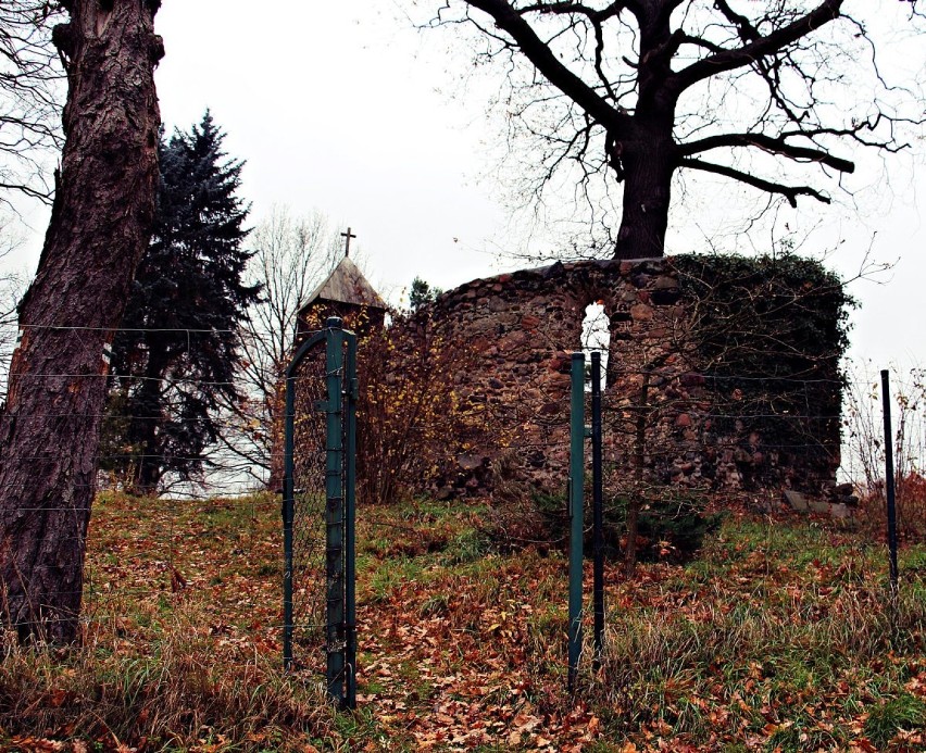 Ruiny kościółka we wsi Podgórzyce. Podobno w ważne święta,...