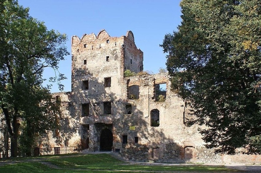 Zwiedzanie ruin renesansowego zamku książąt ziębickich w...