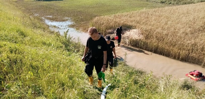 Gorliczanie jaślanom. W jednostkach OSP prowadzone są zbiórki środków czystości i wody na rzecz powodzian [ ZDJĘCIA]