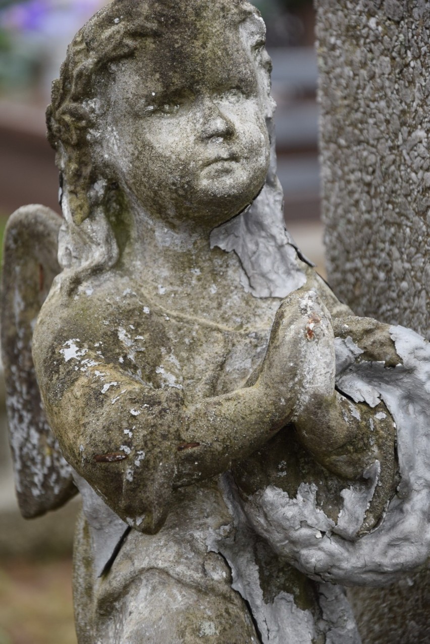 Na cmentarzach w powiecie krotoszyńskim nie brakuje Aniołów...