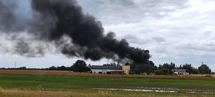 Pożar złomowiska pod Włocławkiem