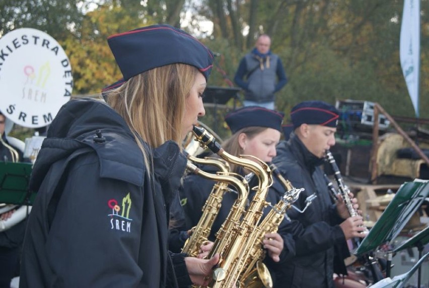 Jesień na łęgach mechlinskich 2019