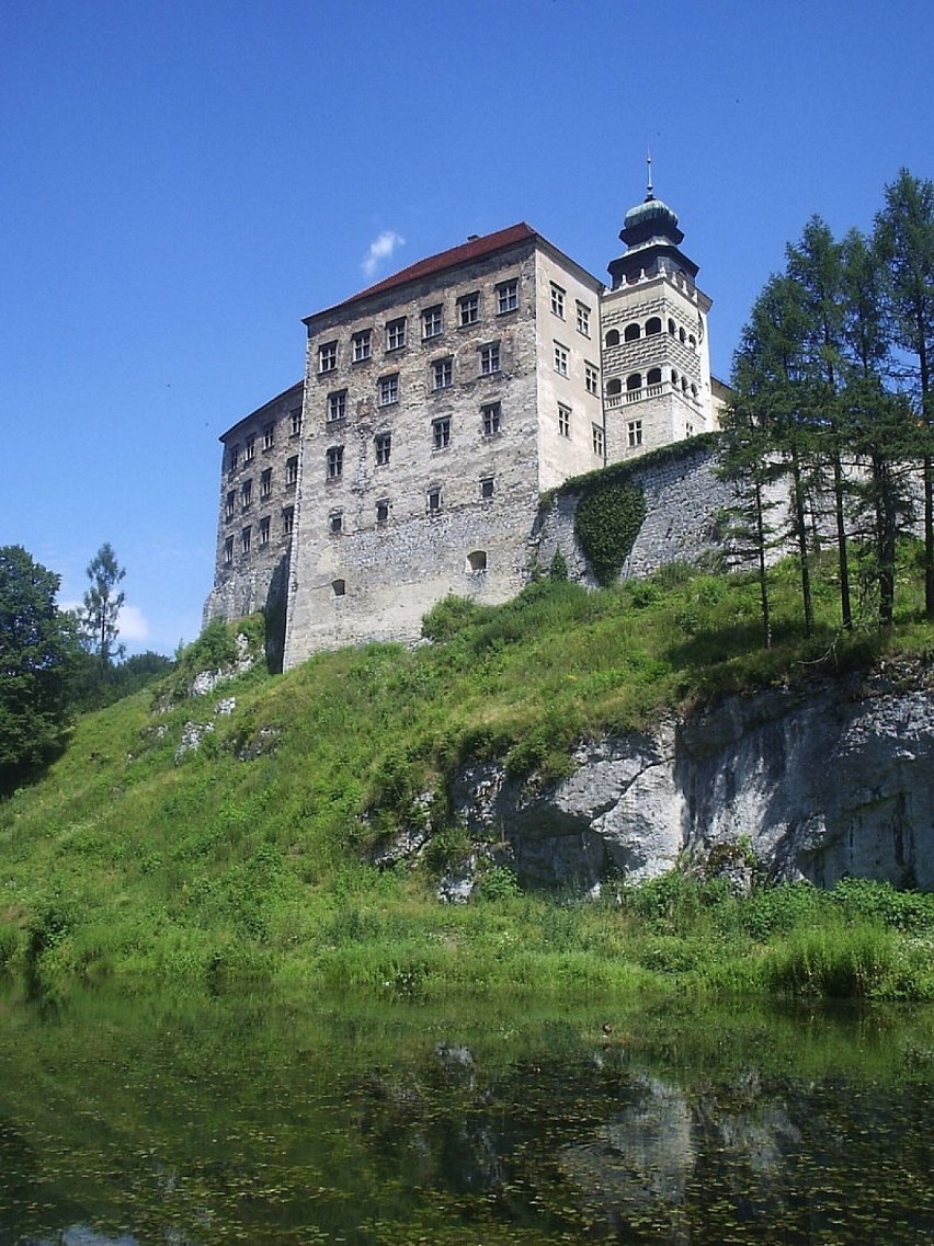 Największym skarbem Ojcowskiego Parku Narodowego jest zamek...