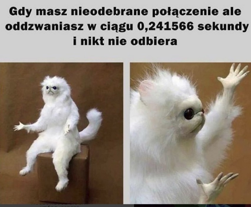 Internet jest pełen żartów z życia wziętych. Wybraliśmy kilkanaście by poprawić wam humor [ZDJĘCIA]