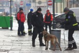 Psy tropiące poszukiwały zaginionego Michała z Kościelnej Wsi. ,,Ślad urywa się przy rzece..."